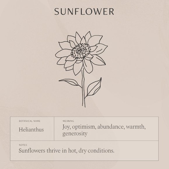 Sunflower Engraved Cute Floral Minimalist Necklace - Picture 8 of 16